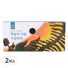 든든바다 햇살이 키운 기장미역, 250g, 2박스