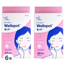 더마겐 웰스팟 하이드로콜로이드 습윤 상처밴드 60p, 6개