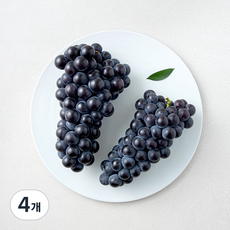 모아바이오팜 캠벨포도, 4개, 1kg