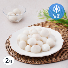 간편 리치 (냉동), 500g, 2개