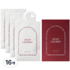 에이센트 퍼퓸 샤쉐 본품 L, 20g, 16개, 딥체리