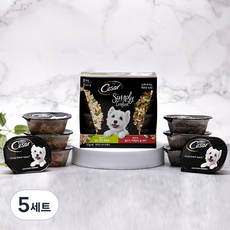 시저 생후 1년 이상 강아지 심플리 버라이어티 습식사료, 닭+소, 296g, 5세트