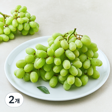 수플린 칠레산 청포도 톰슨, 2개, 1.5kg
