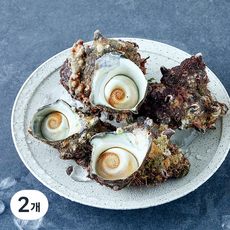 어부심 쫄깃한 자연산 뿔소라 (냉장), 2개, 1kg