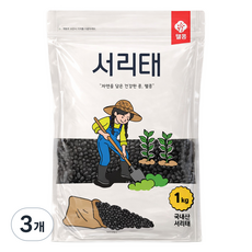 웰콩 국산 서리태, 1kg, 3개