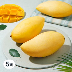 태국 남독마이 망고(M), 900g(3입), 5팩