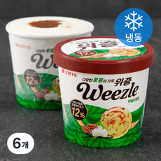 롯데웰푸드 위즐 바닐라피칸 아이스크림 (냉동), 660ml, 1개입, 6개