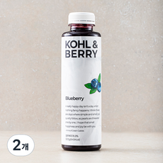 앤베리 kohl 블루베리, 500g, 2개