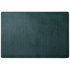 Hesii 長方編織餐墊, 1個, 43 x 30 x 0.2cm, 湖綠色