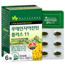 메이플트리 루테인지아잔틴 플러스11, 30정, 6개