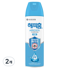 해피홈 수성 에어로솔 살충제 무향, 2개, 450ml 2개, 450ml