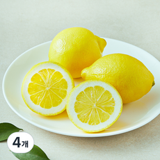 더네이처 칠레산 레몬, 4개, 350g