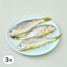 산지직송 일품 법성포 선별참조기 (냉장), 3개, 270g(특대, 3미)
