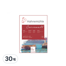 Hahnemuhle 康沃爾水彩紙 粗紋 raugh 450g, 30個