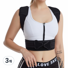 비제스코 허리 밸런스 밴드 VIGE-D12, 3개