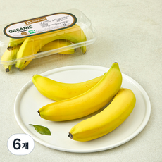 썬팜 유기농 인증 페루산 바나나, 500g, 6개