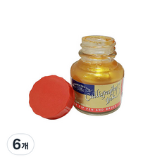 윈져앤뉴튼 칼리그라피잉크30ml, 메탈 283 Gold, 6개
