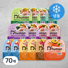 듀먼 버라이어티 반려견 냉동 화식 세트, 채소, 빌베리, 토마토, 소고기