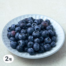 미국산 PSK 블루베리, 2개, 125g