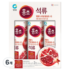 홍초 석류, 900ml, 6개