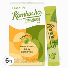 티젠 콤부차 매실, 5g, 10개입, 6개