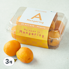 셀렉트팜 영주 못난이 망고링 5~9개입, 3개, 800g