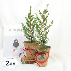 갑조네 사이프러스 소품 커버 2종 세트, 혼합색상, 2세트