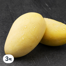 바로먹는 후숙 더로얄 태국망고, 800g (2입), 3팩
