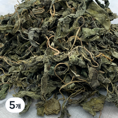 탄탄라이프 건다래순, 100g, 5개