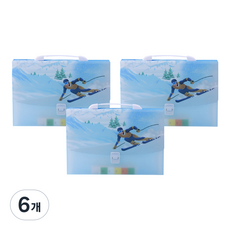 알로데 아트 아코디언 13포켓 A4 서류 정리함 33 x 26 x 3 cm, 08 상급스키, 6개