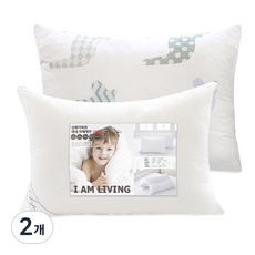 아임리빙 마일드 마이크로화이버 베개솜 + 베개커버, 포니, 2개