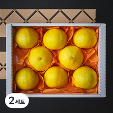 블랙홀 당도선별 황금향 선물세트 2kg, 2세트