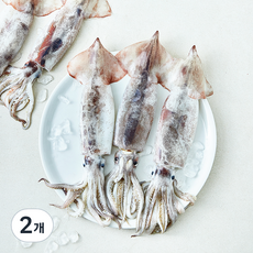 어부심 국내산 생물 오징어 4~8미 (냉장), 2개, 1kg