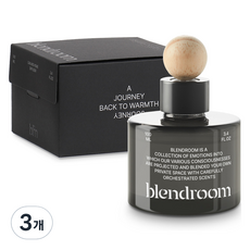 블랜드룸 차량용 디퓨저 100ml, 카벤, 3개