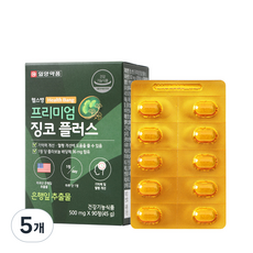 일양약품 헬스뱅 프리미엄 징코 플러스 500mg, 5개, 45g