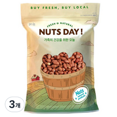 넛츠데이 볶음땅콩, 3개, 1kg