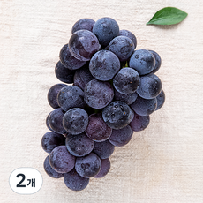 한옥토 거봉, 2개, 500g