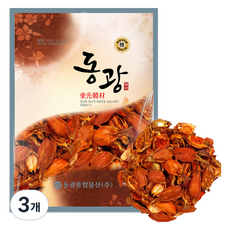 동광한방몰 말린 치자 열매, 300g, 3개