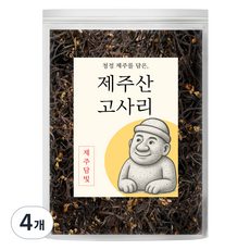 제주담빛 제주산 건고사리, 50g, 4개