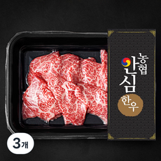 농협안심한우 살치살 1+등급 구이용 (냉장), 200g, 3개