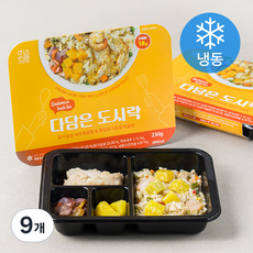 다담은 도시락 닭가슴살 새우볶음밥 & 한입닭가슴살 마늘맛 (냉동), 230g, 9개