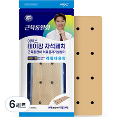 아텍스 테이핑 자석패치 허리 I형 + 리필 대용량 23p 세트, 6세트