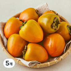 제이드가든 후숙해서 먹는 대봉감, 5개, 1.8kg(소과, 9~10입)