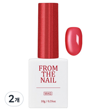FROM THE NAIL MAGNET GEL, 2個, FG273, 10g