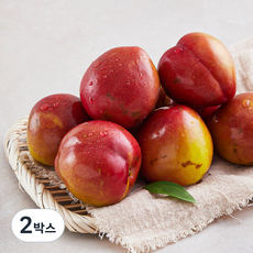 아주마 저탄소 인증 산지직송 영동 후무사 자두, 1kg(특대), 2박스