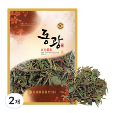 東光 韓國產蒲公英茶, 600g, 2個