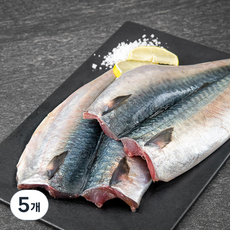 국내산 생물 고등어 2미 구이용, 500g, 5개