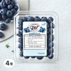 미국산 블루베리, 125g, 4개