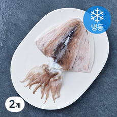 어보선 손질 갑오징어 (냉동), 2개, 200g