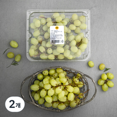 스윗글로브 청포도, 1.2kg, 2개